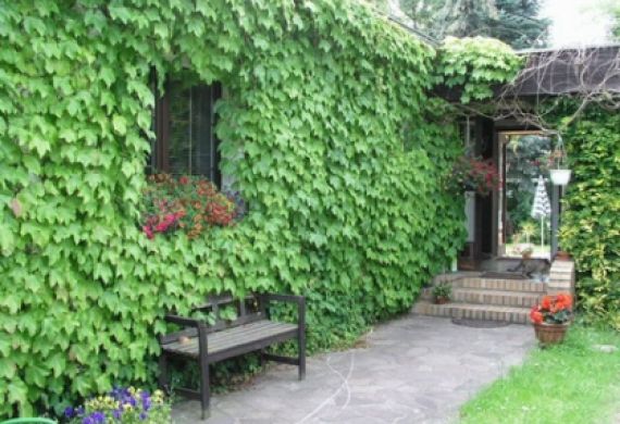 Sanierung Einfamilienhaus